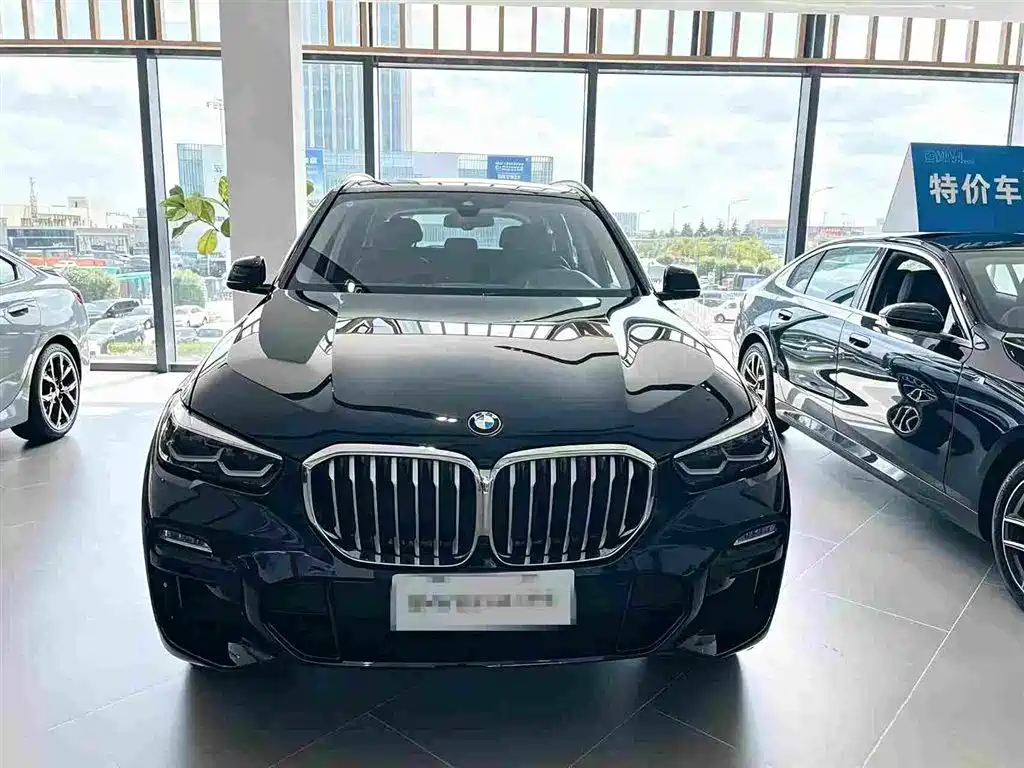 BMW X5 (Import) — миниатюра 2