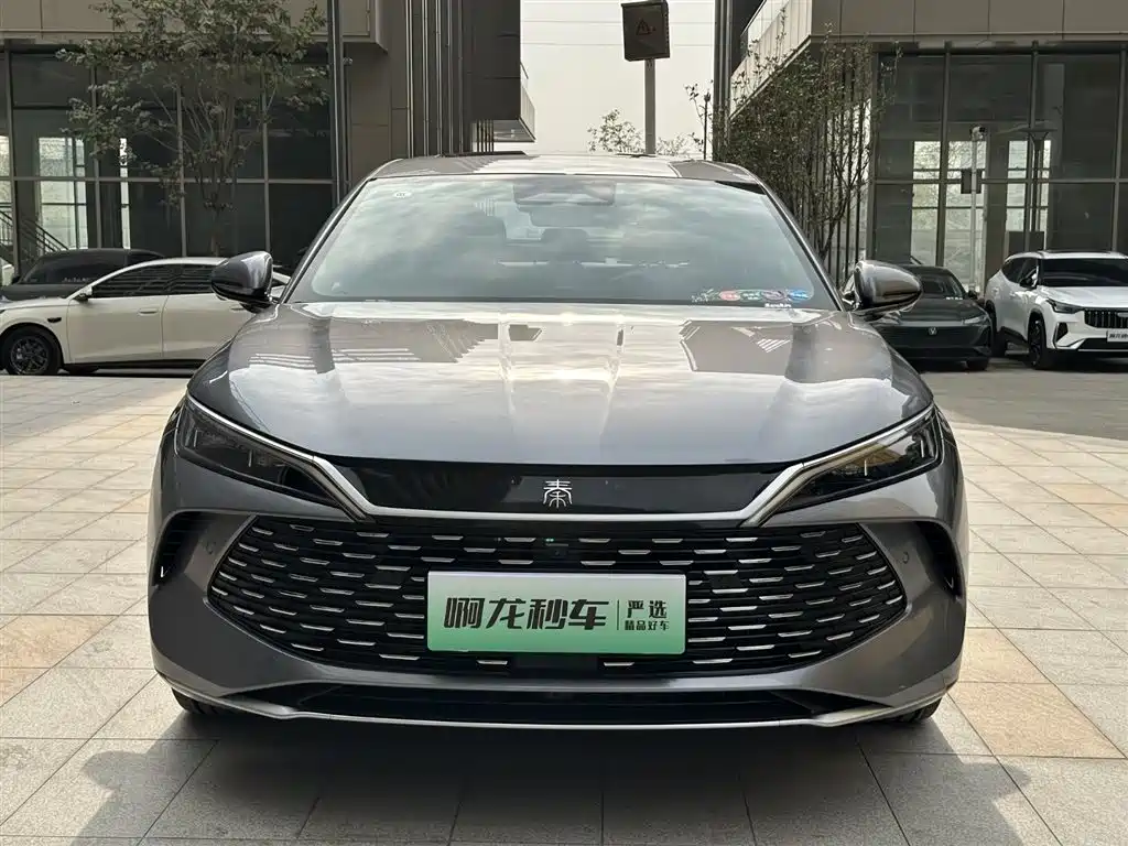 BYD QIN L
