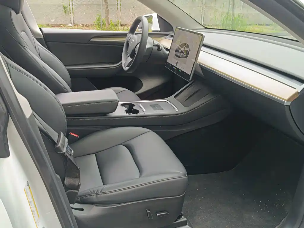 Tesla Model Y — миниатюра 4