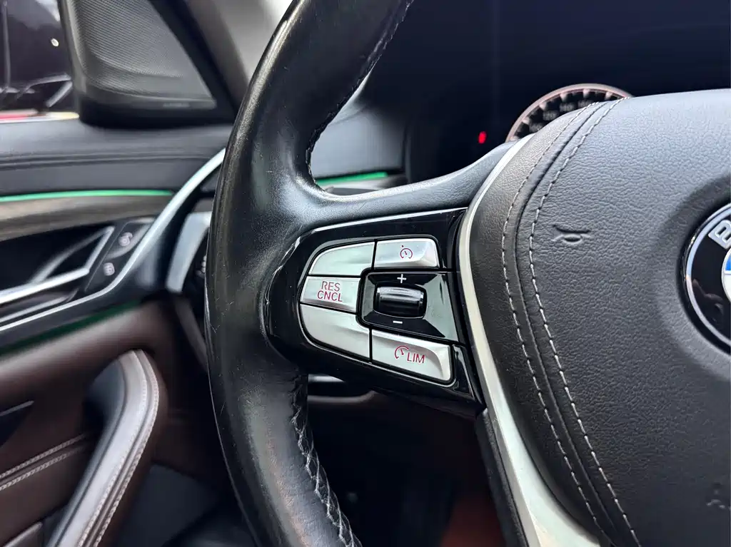 BMW 5 Series 5 2019 530Le Luxury