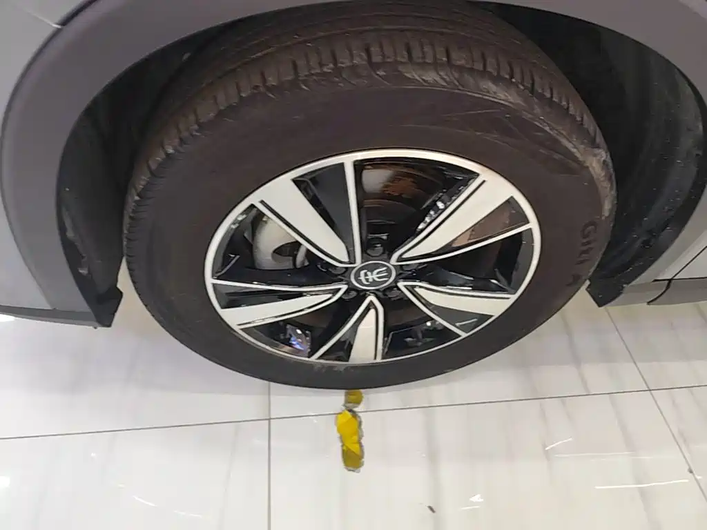 BYD Pro New Energy — миниатюра 23
