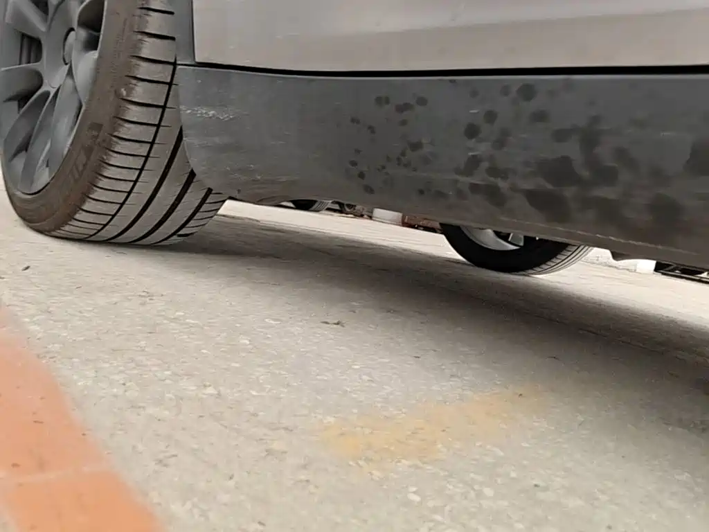 Tesla Model Y — миниатюра 4