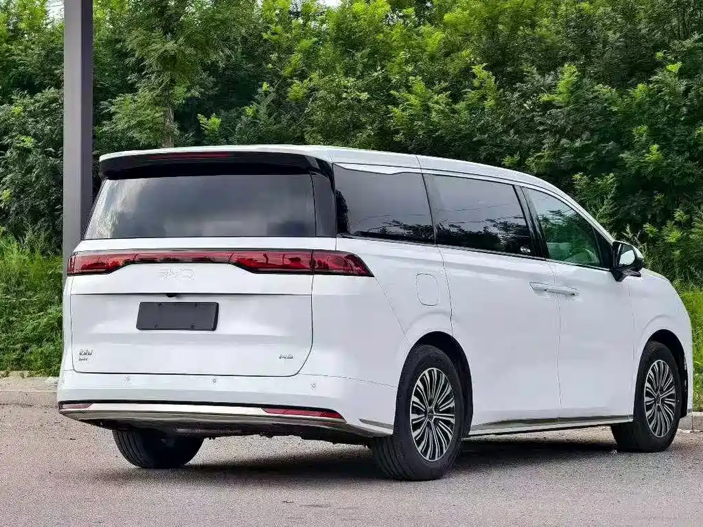 BYD M9 — миниатюра 6