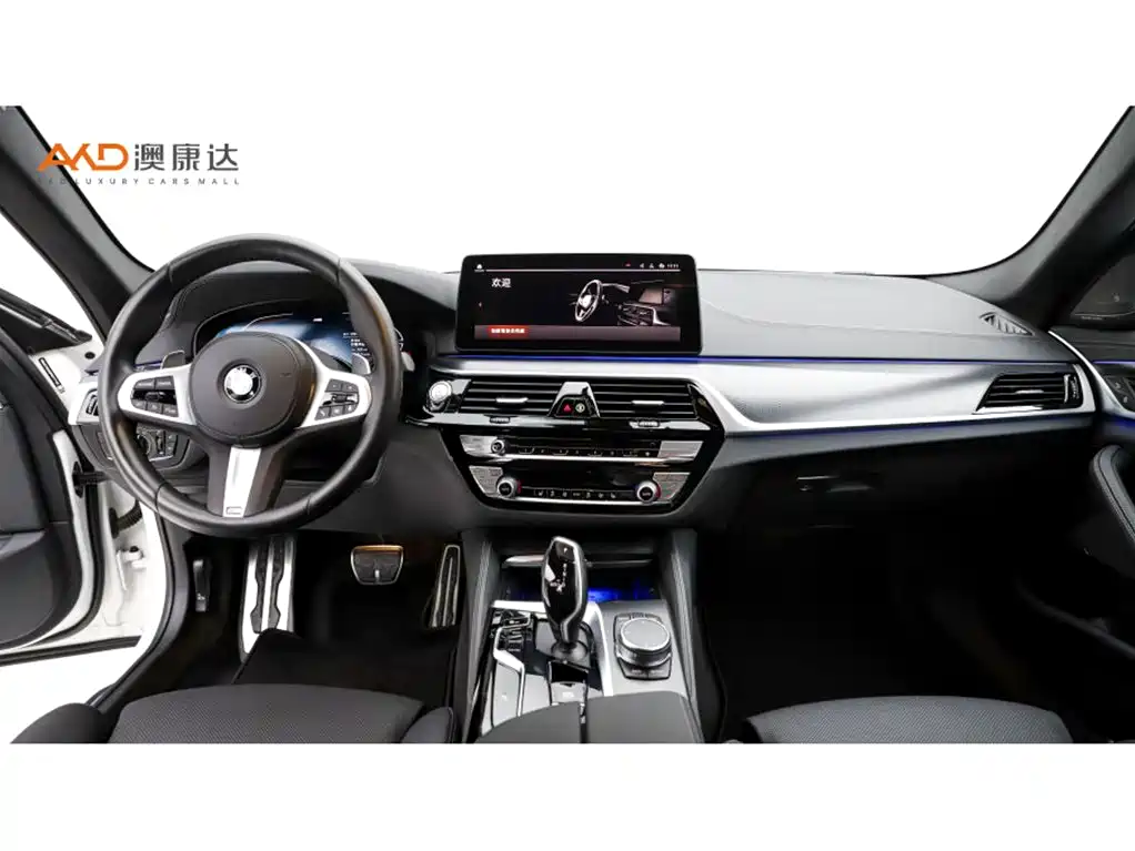 BMW 5 Series 5 2022 530i M Sport