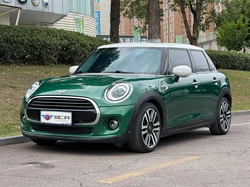 Mini Mini 2020