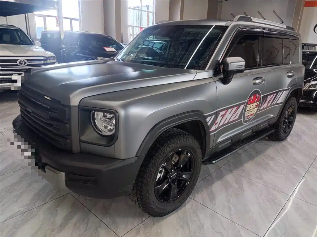 Haval Menglong New Energy 2024