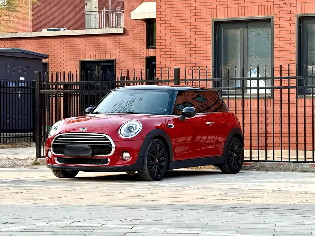 Mini Mini 2018