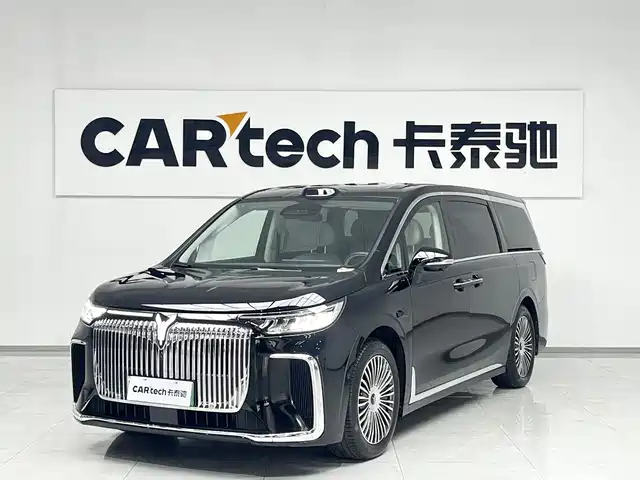 2025 Voyah Dream