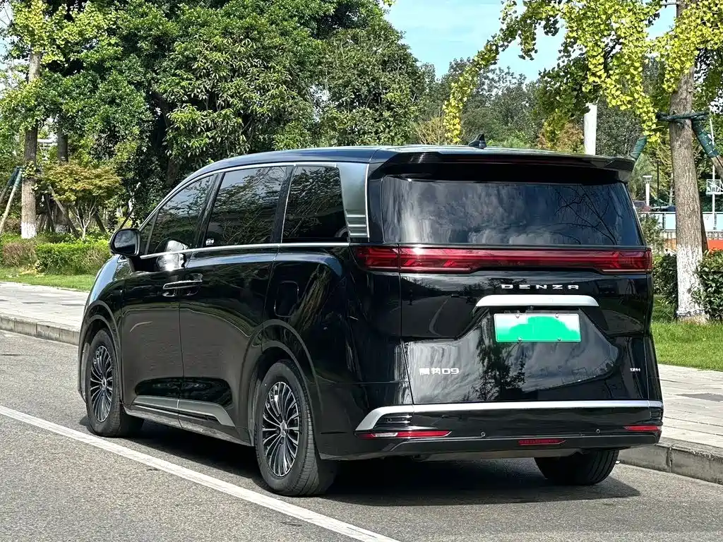 Denza Denza D9 — миниатюра 10