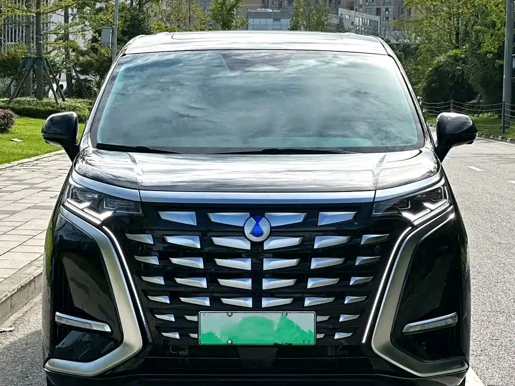Denza Denza D9 — миниатюра 2