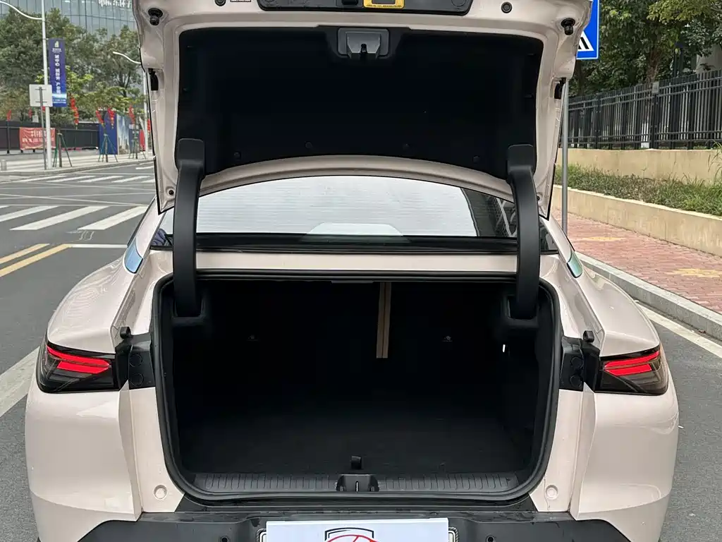 ARCFOX EXTREME FOX POLAR FOX ALPHA S5