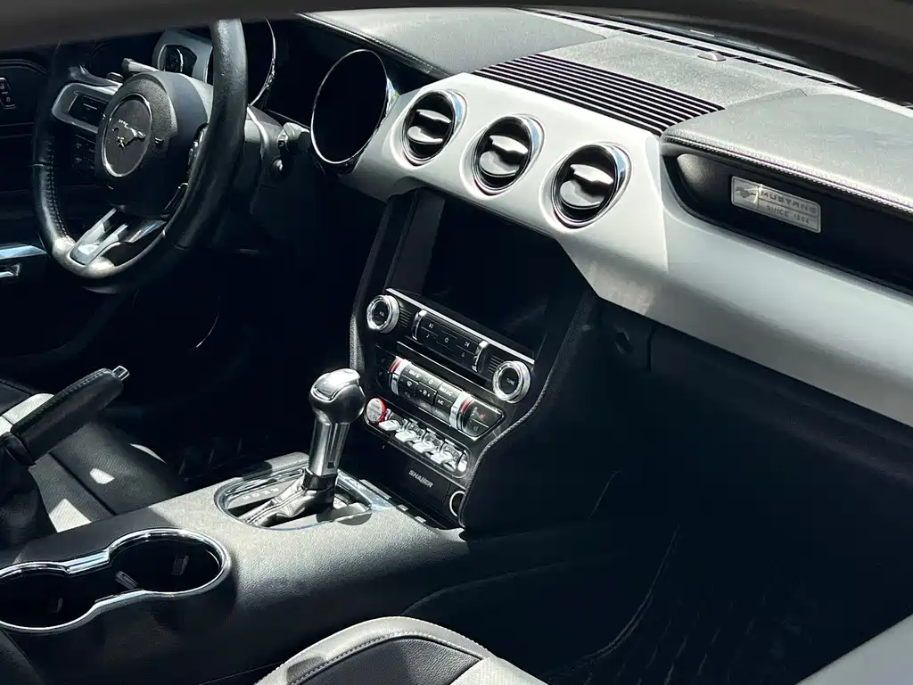 Ford Mustang — миниатюра 10