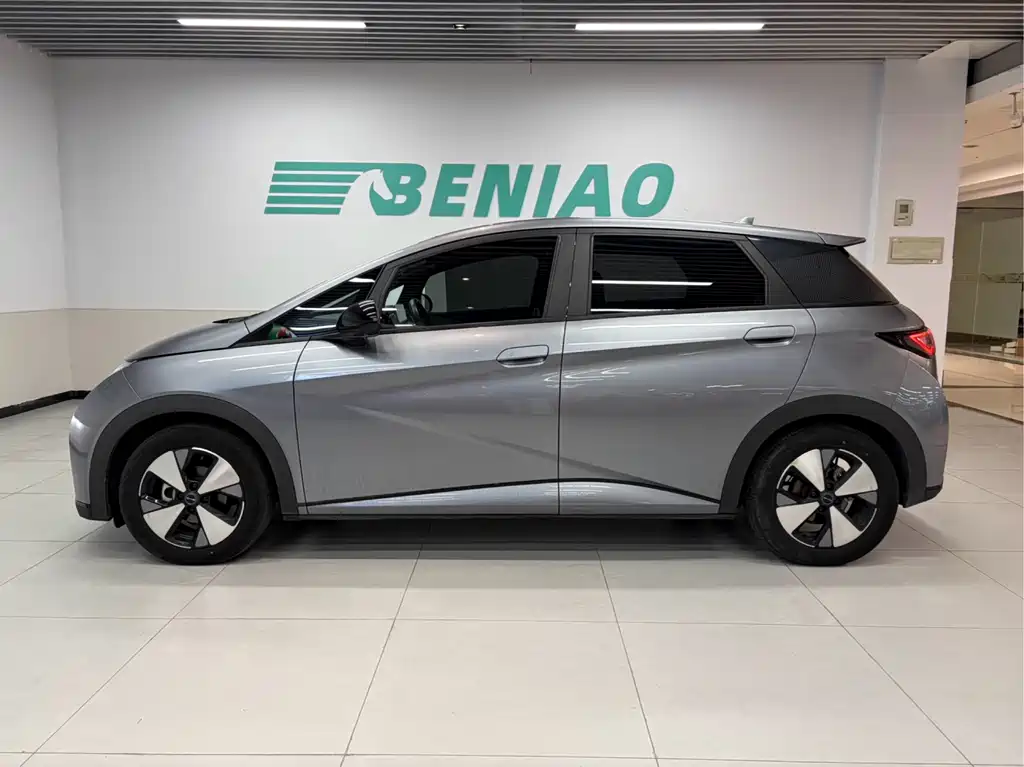BYD Dolphin — миниатюра 3