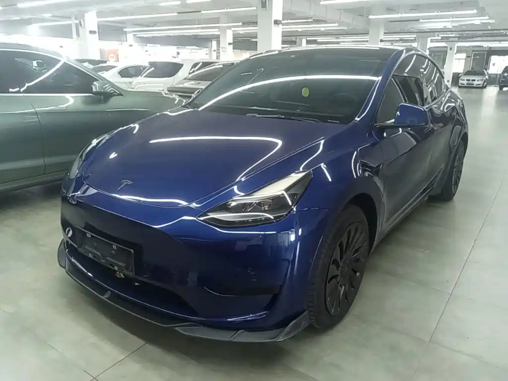 Tesla Model Y — миниатюра 2
