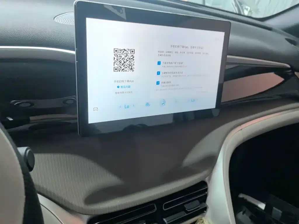 BYD Pro New Energy — миниатюра 13