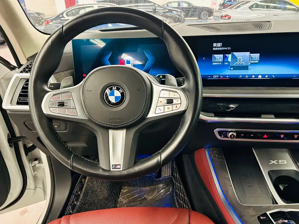 BMW X5 — миниатюра 12