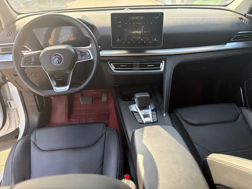 BYD Pro — миниатюра 8