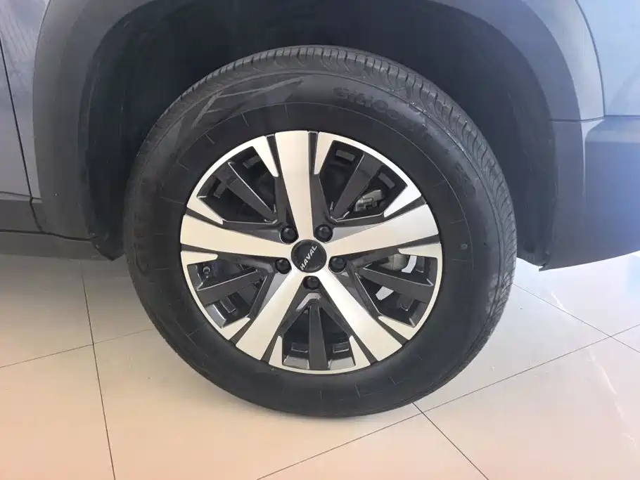Haval Big Dog — миниатюра 6
