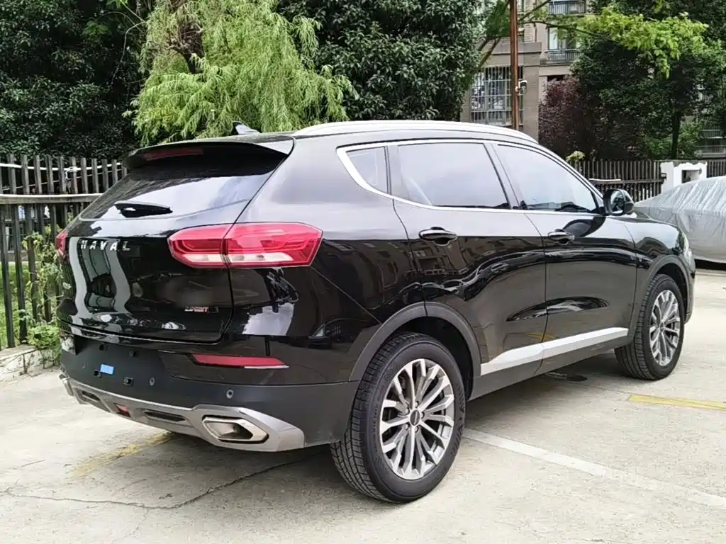 Haval H6 — миниатюра 7