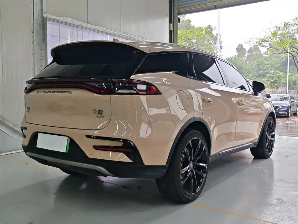BYD Tang New Energy — миниатюра 4