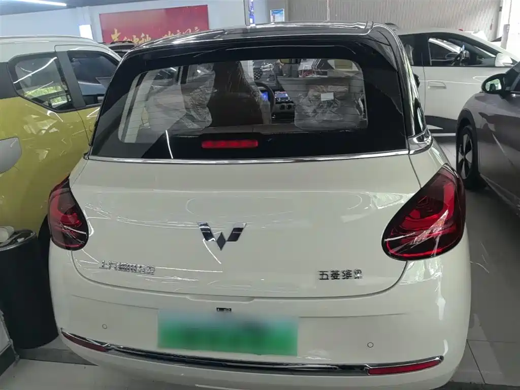 Wuling Binguo 2025 333km Enjoy