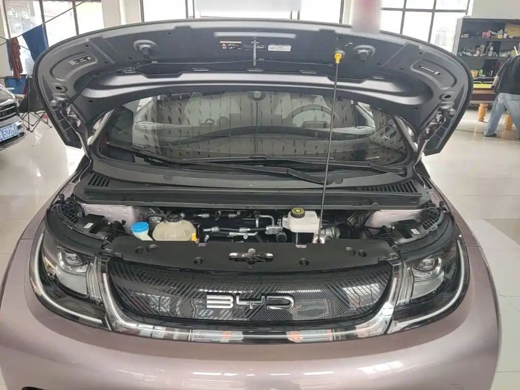 BYD Dolphin — миниатюра 20