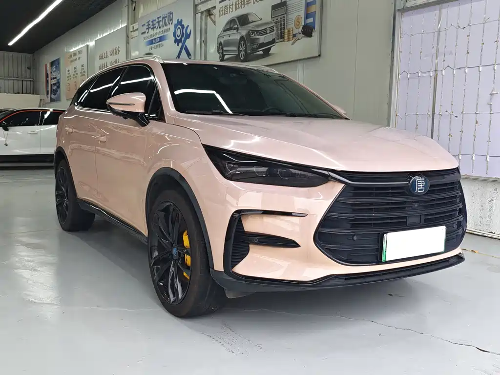BYD Tang New Energy — миниатюра 2