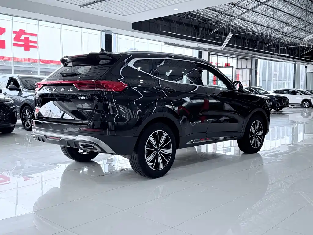 Haval H6 — миниатюра 10