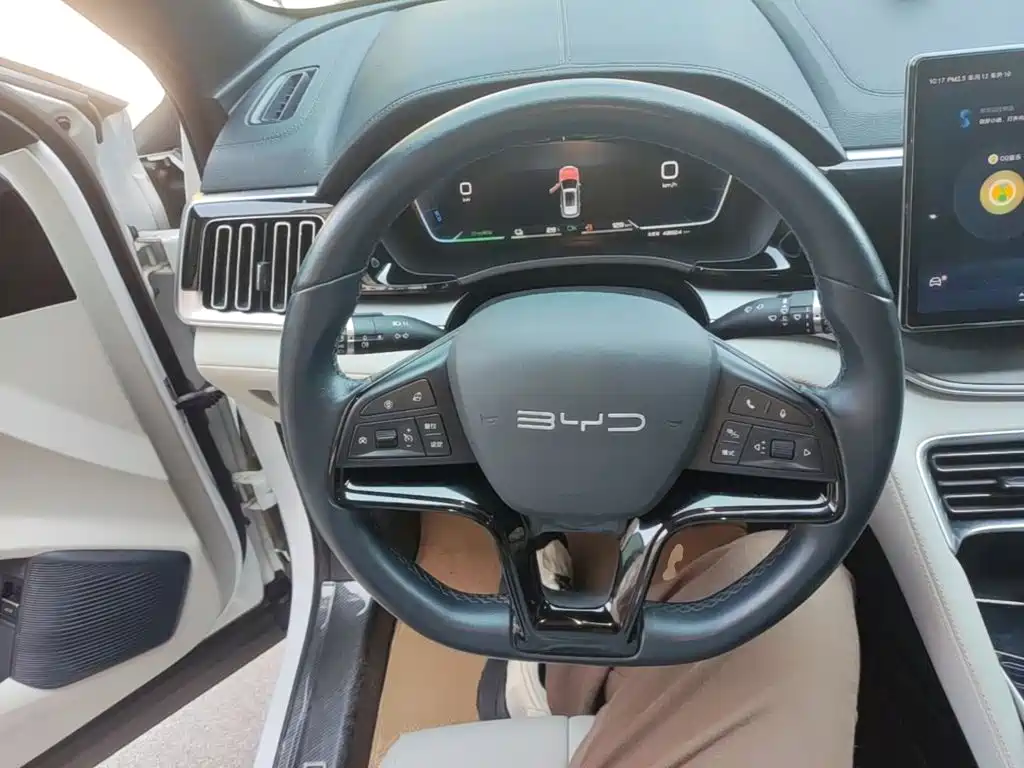 BYD PLUS New Energy — миниатюра 11