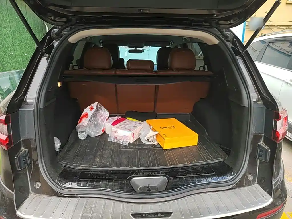 Renault Koleos — миниатюра 19