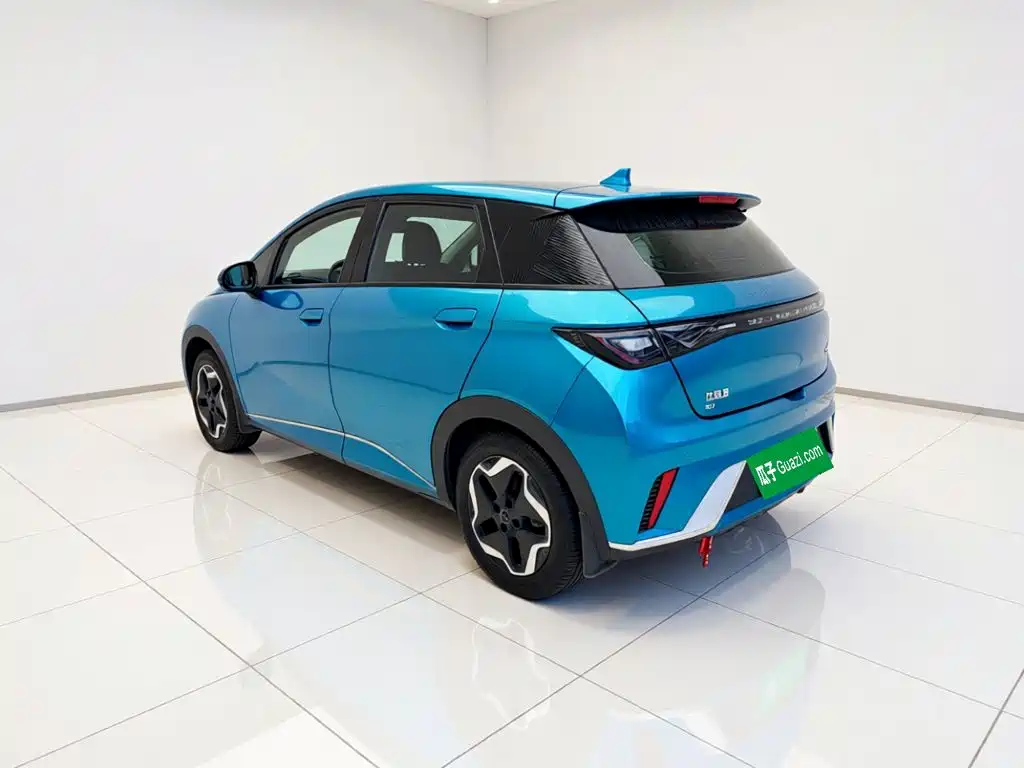 BYD Dolphin — миниатюра 25