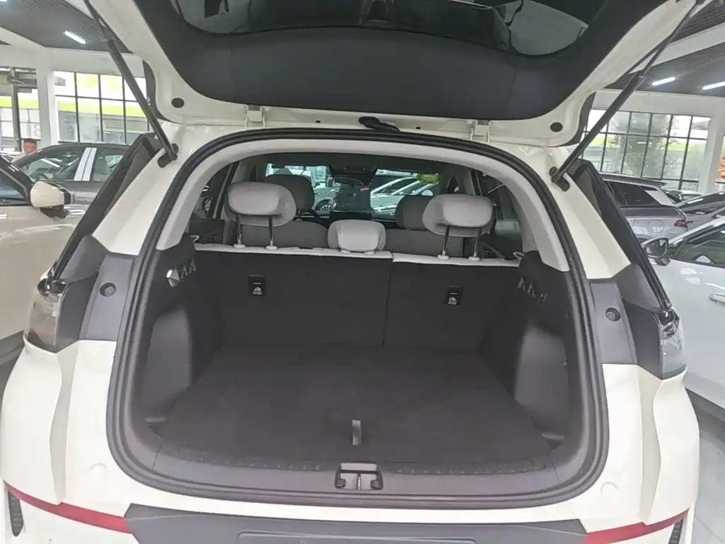 BYD Sealion 05 EV — миниатюра 19
