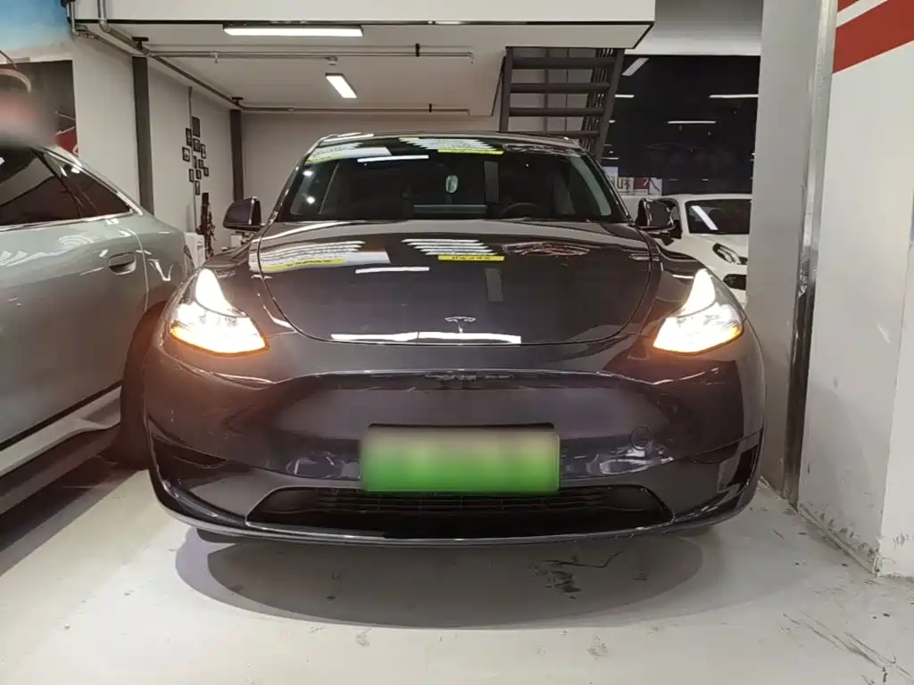 Tesla Model Y — миниатюра 3
