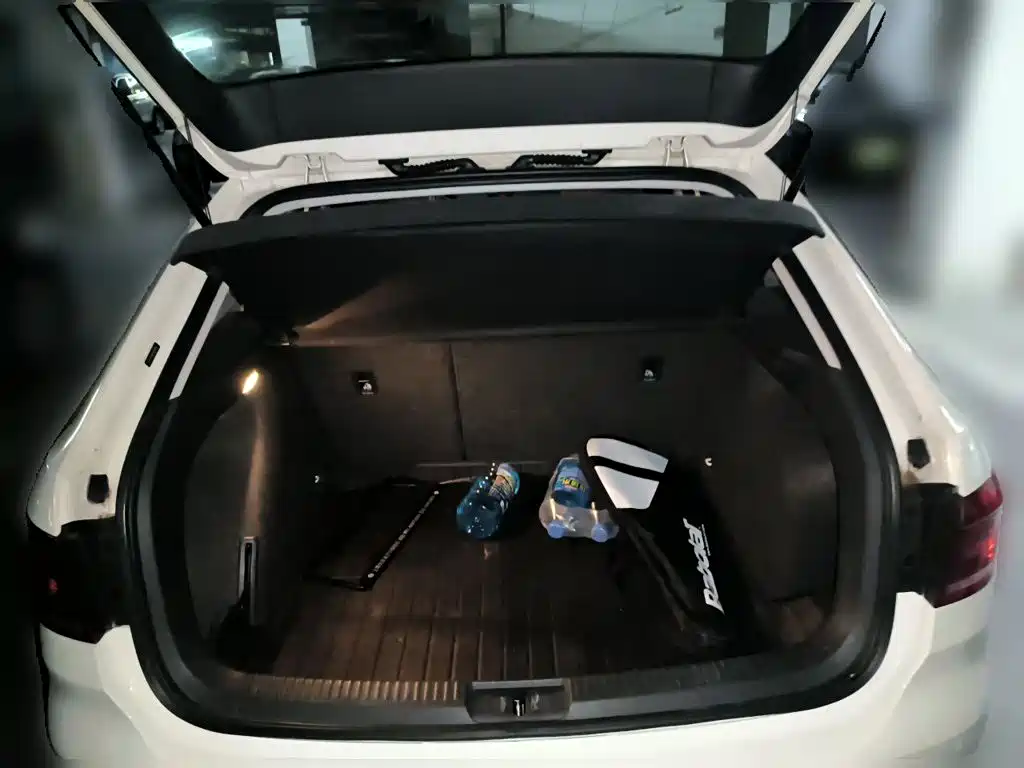 Volkswagen Gran Lavida — миниатюра 15