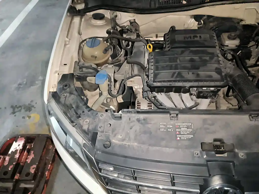 Volkswagen Gran Lavida — миниатюра 20