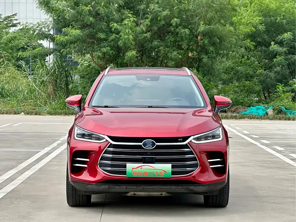 BYD Tang New Energy — миниатюра 2