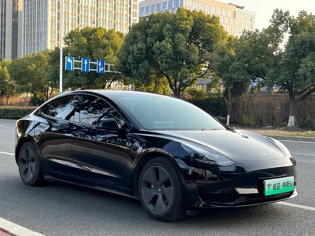 Tesla Model 3 — миниатюра 7