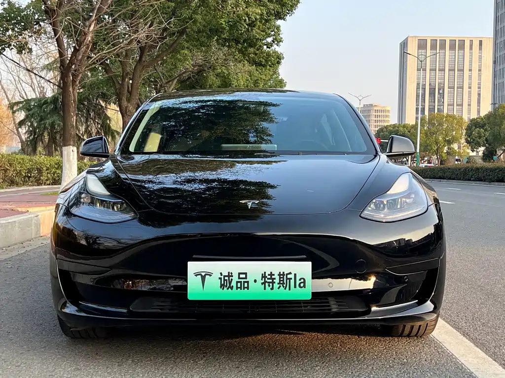 Tesla Model 3 — миниатюра 8