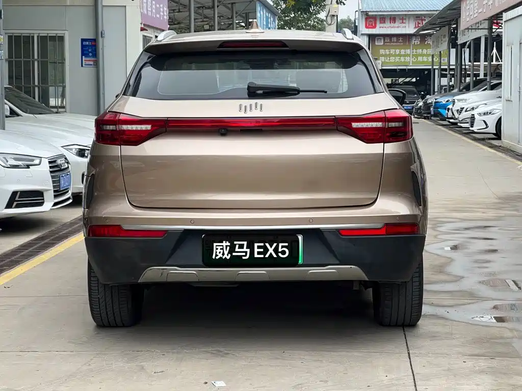 WM Motor EX5 — миниатюра 6