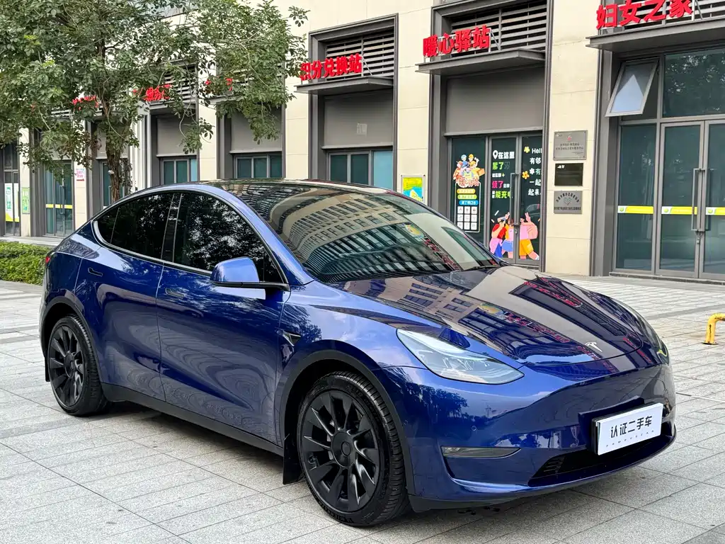 Tesla Model Y — миниатюра 3