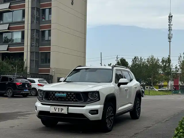 HAVAL  SECOND GENERATION BIG DOG NEW ENERGY 2023