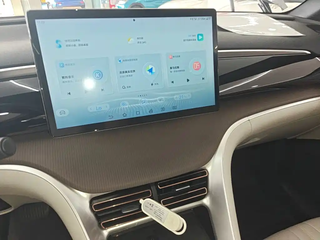 BYD Pro New Energy — миниатюра 13