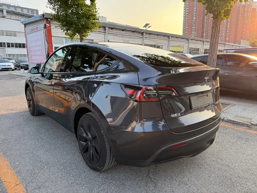 Tesla Model Y — миниатюра 17