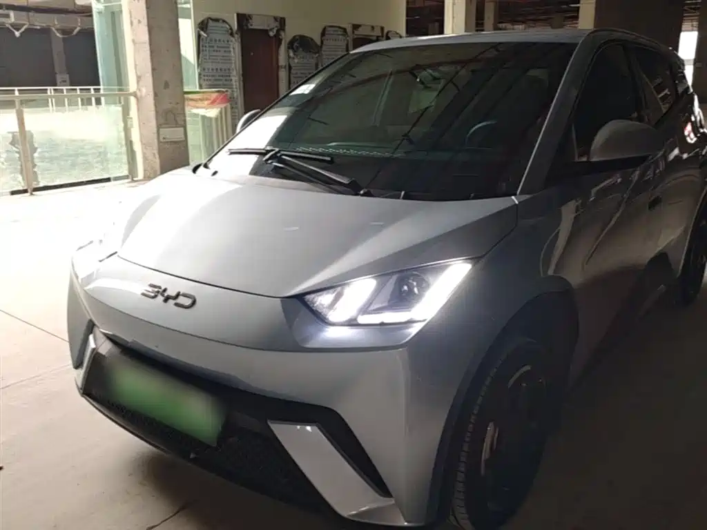 Byd Seagull 2024