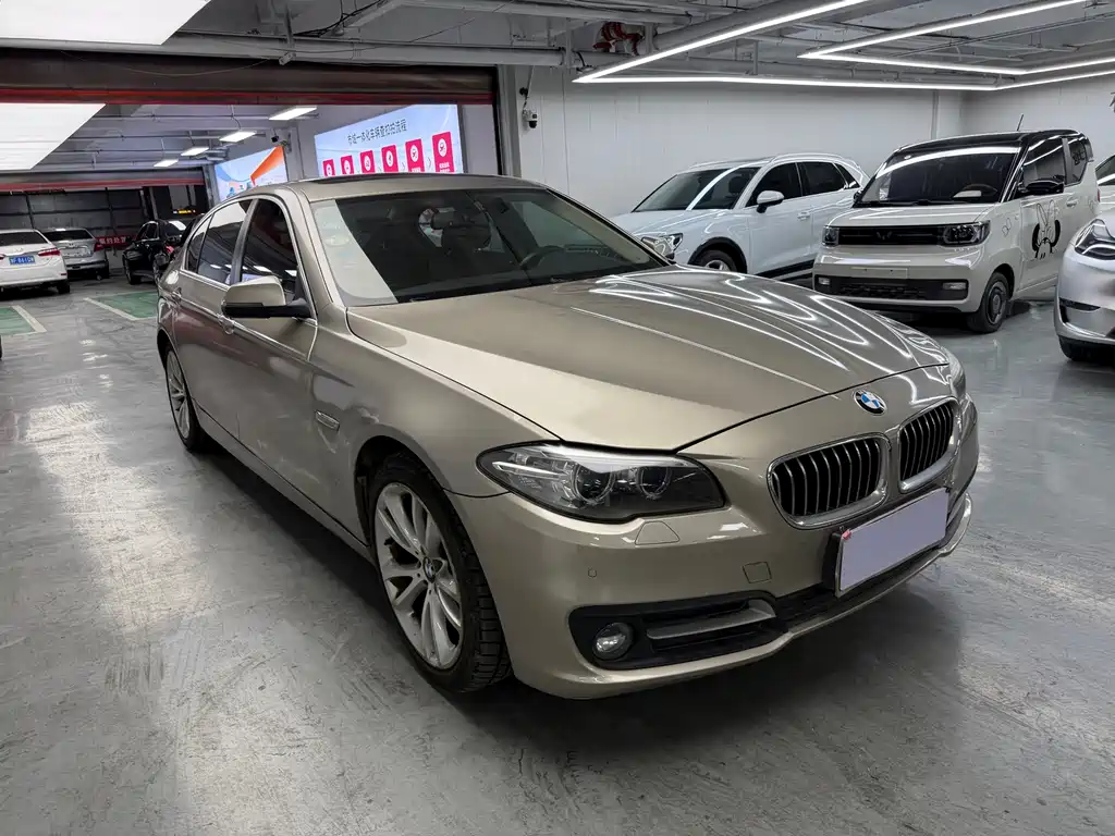 BMW 5 Series 5 2013 530Li Lead