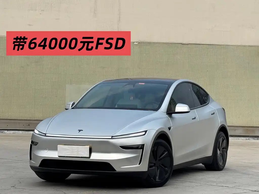 Tesla Model Y — миниатюра 2