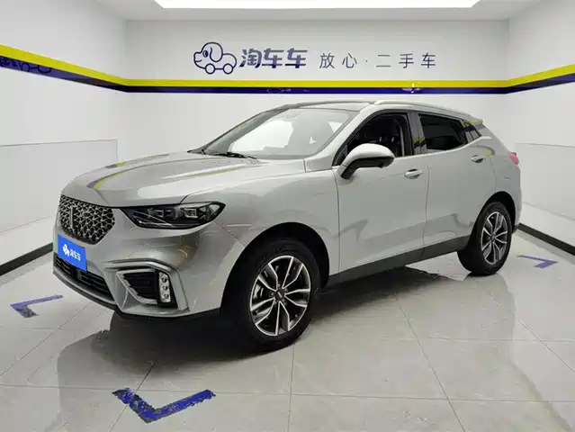 WEI PAI WEI BRAND VV5