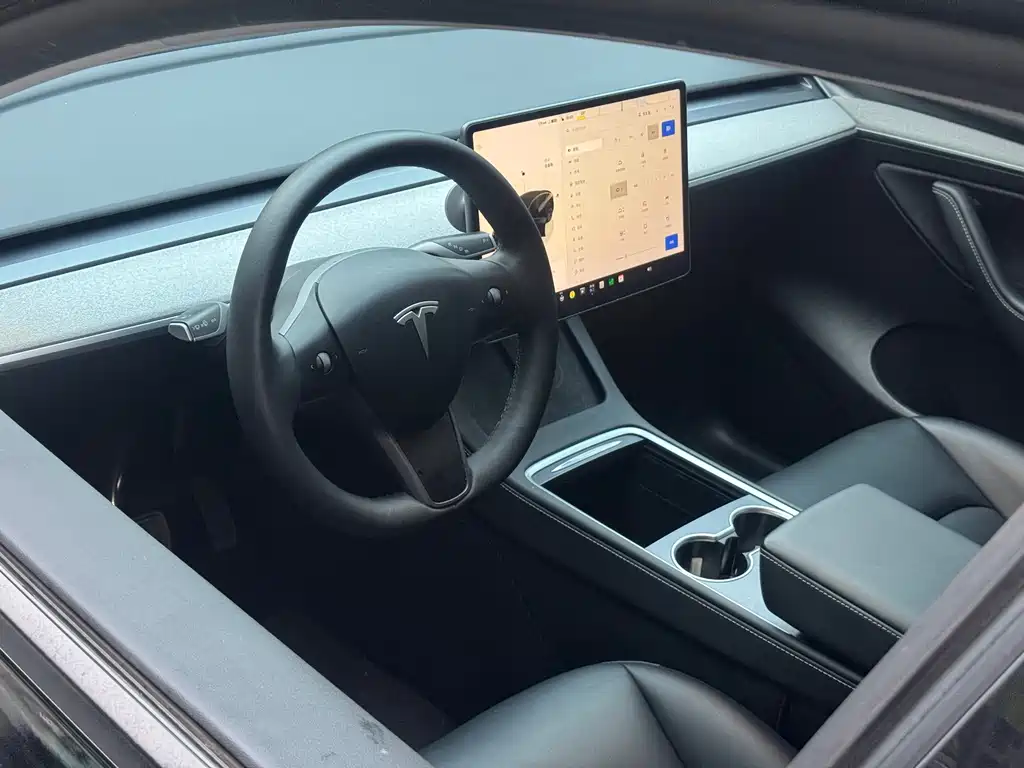 Tesla Model Y — миниатюра 10