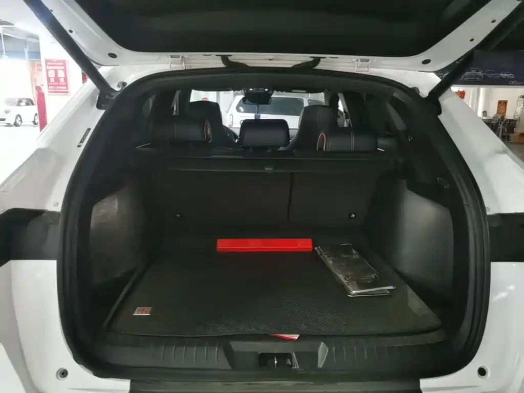 BYD PLUS New Energy — миниатюра 19