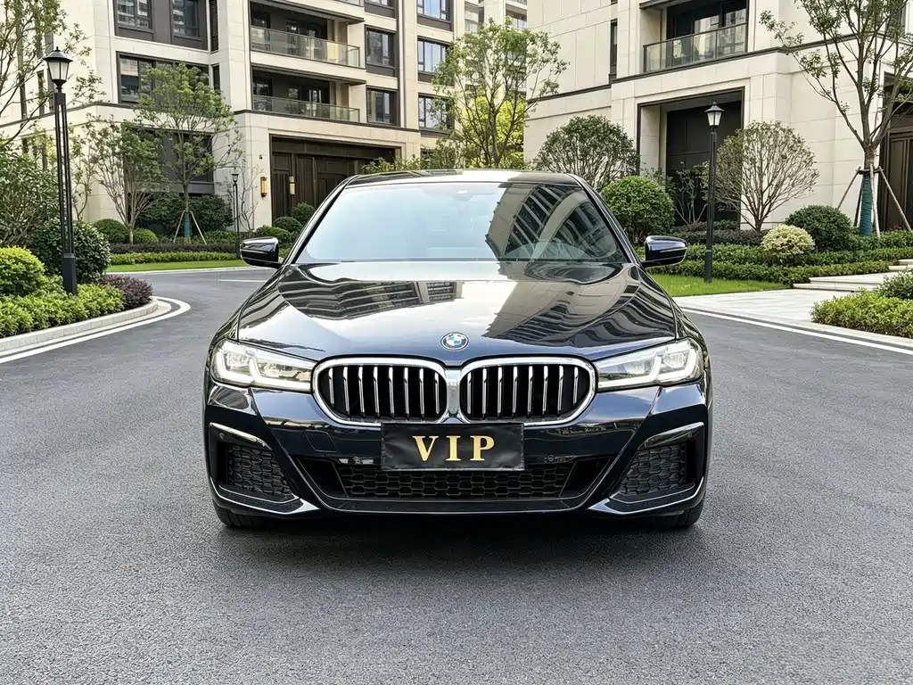 BMW 5 Series — миниатюра 2